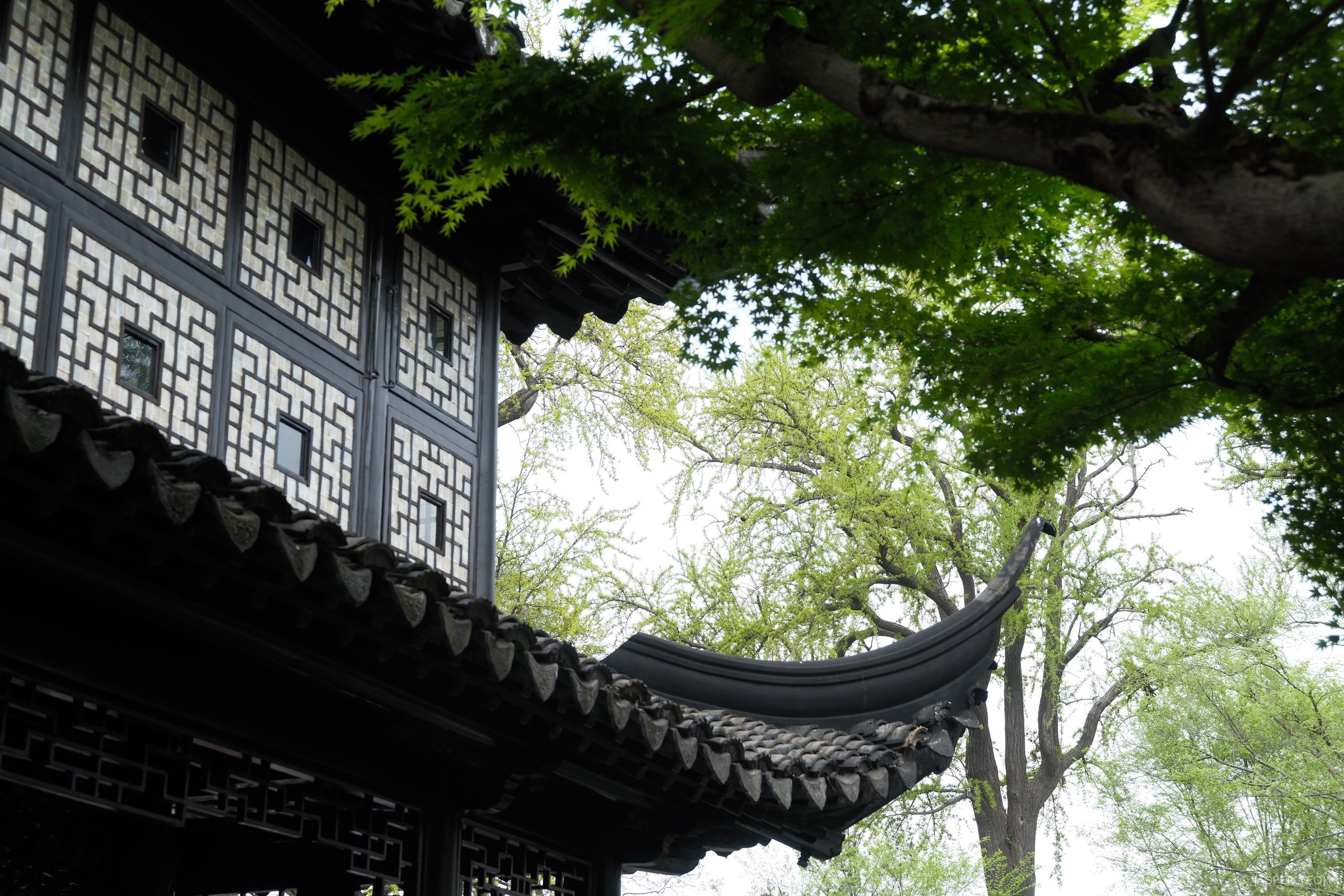 Humble Administrator's Garden, Suzhou
