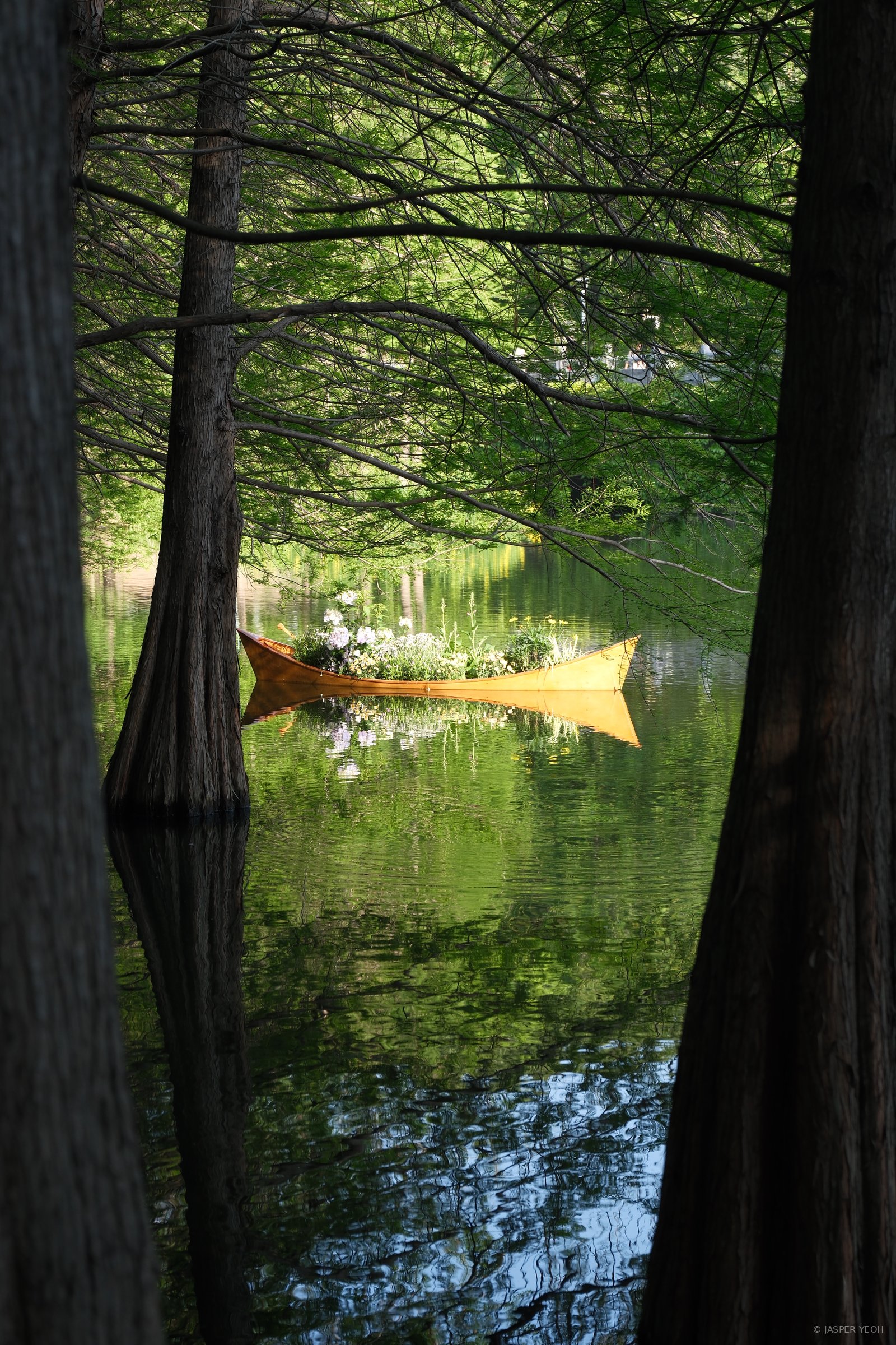 Yanque Lake, Nanjing