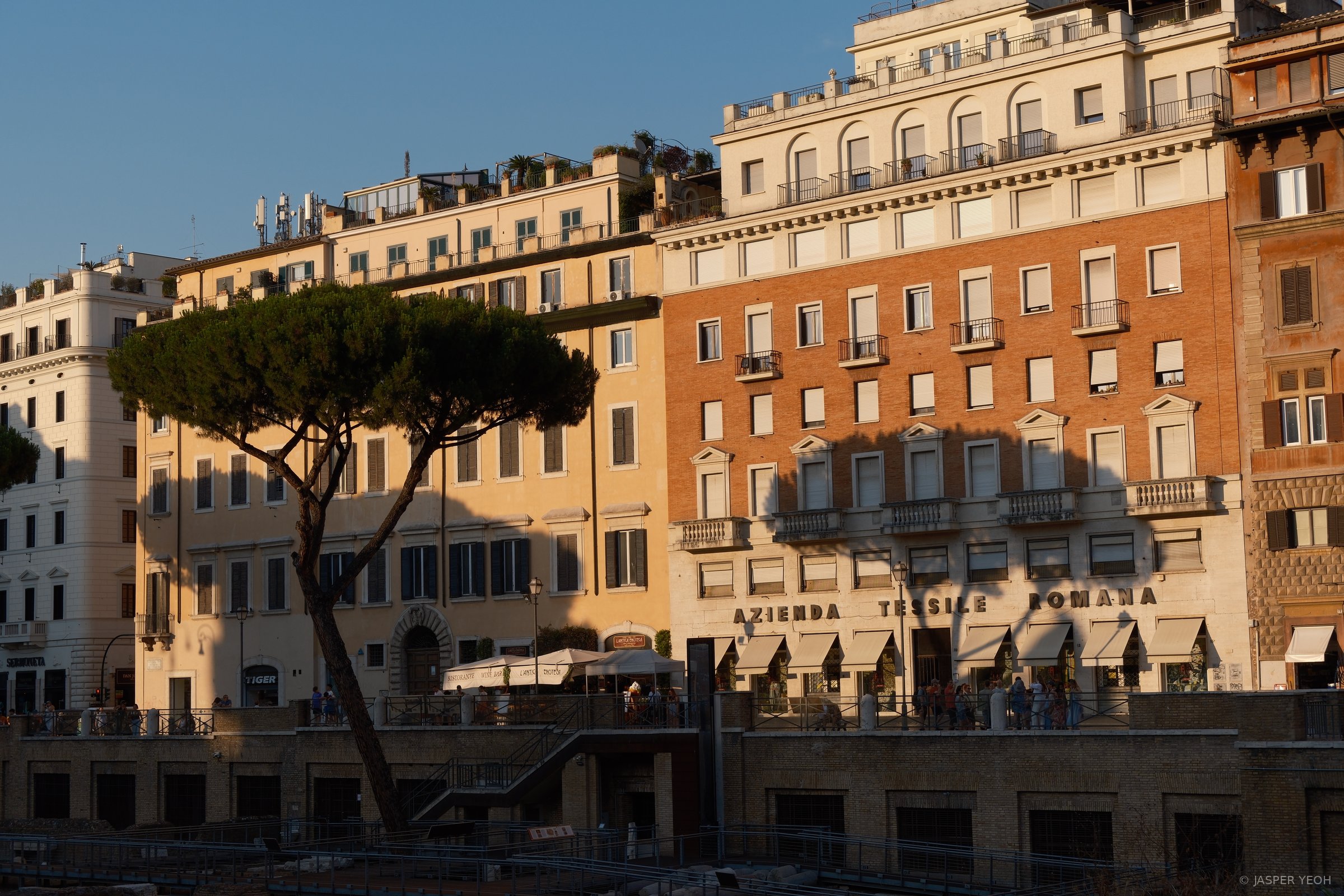 Largo di Torre Argentina, Rome