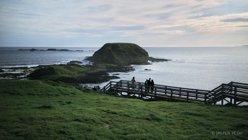 The Nobbies, Phillip Island