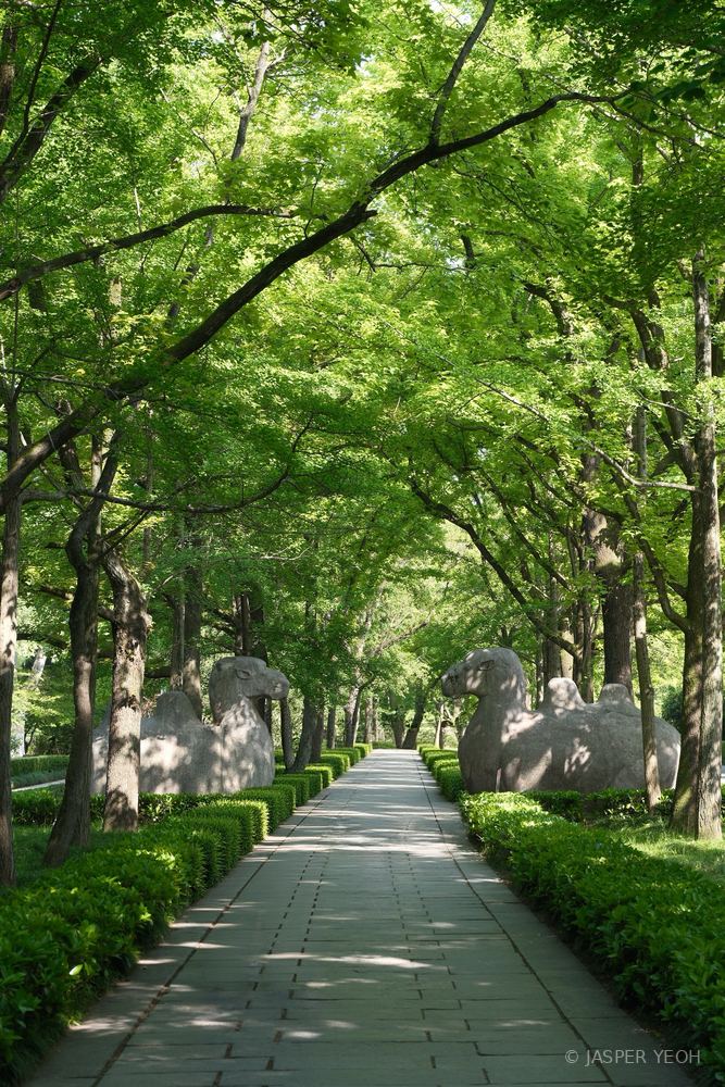 Stone Elephant Road, Ming Xiaoling